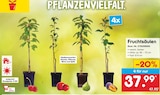 Fruchtsäulen im aktuellen Netto Marken-Discount Prospekt