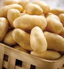 Pommes de terre de consommation à Intermarché Contact dans Plouzévédé