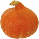 EDEKA Stadtlohn - Deutschland Bio Speisekürbis Hokkaido Angebot im Prospekt Deutschland Bio Speisekürbis Hokkaido bei EDEKA im Stadtlohn Prospekt für 1,49 €