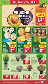 Pilze im ALDI Nord Prospekt in Jena Aktueller ALDI Nord Prospekt mit Pilze, "Aktuelle Angebote", Seite 29