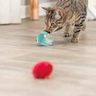 Rasselball Plüsch für 3,19 € bei Zookauf im Angebot Rasselball Plüsch im aktuellen Zookauf Prospekt