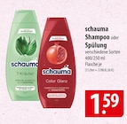 Shampoo oder Spülung im Angebot bei famila Nordost in Flensburg Shampoo oder Spülung Angebote von schauma bei famila Nordost Flensburg für 1,59 €