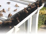 Zimmermann Hochheim - XXL-Dachrinnenwalze XXL-Dachrinnenwalze Angebot bei Zimmermann Hochheim im Prospekt Mehr als Du denkst!