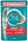Katzen-Nassfutter im aktuellen Prospekt bei Kaufland in Lohsa