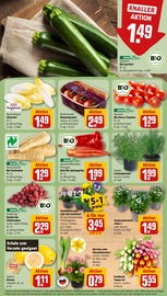 Zucchini im REWE Prospekt in Saarbrücken Aktueller REWE Prospekt mit Zucchini, "Dein Markt", Seite 9