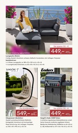 Hängesessel Angebot im aktuellen Pflanzen Kölle Prospekt auf Seite 13