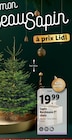 Sapin Nordmann 1er choix en promo chez Lidl Lambersart à 19,99 €