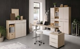 Schreibtisch SIENA im Angebot bei mömax in Fürth Schreibtisch SIENA Angebote bei mömax Fürth für 299,00 €