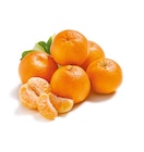 Netto mit dem Scottie Joachimsthal - Clementinen Angebot im Prospekt Clementinen bei Netto mit dem Scottie im Joachimsthal Prospekt für 1,89 €