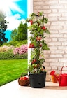 Kit de tuteurs pour tomates - POWERTEC GARDEN en promo chez Norma Kit de tuteurs pour tomates - POWERTEC GARDEN dans le catalogue Norma