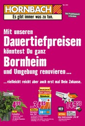 Aktueller Hornbach Prospekt mit Holz, "Endlich Frühling", Seite 1