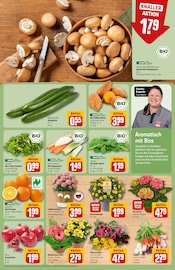 Blumen im REWE Prospekt in Gießen Aktueller REWE Prospekt mit Blumen, "Dein Markt", Seite 7