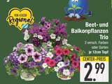 E center Stadtbergen Prospekt mit  im Angebot für 2,99 €