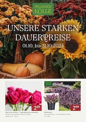Aktueller Pflanzen Kölle Garten & Pflanzen Prospekt in Bingen und Umgebung, "Monatspreise" mit 2 Seiten, 01.10.2025 - 31.10.2025