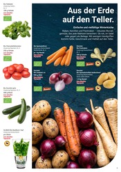 Zucchini im GLOBUS Prospekt in Siegen Aktueller GLOBUS Prospekt mit Zucchini, "Aktuelle Angebote", Seite 29