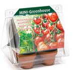 Mini-Gewächshaus Kirschtomate Angebote bei Netto mit dem Scottie Wismar für 2,99 €