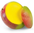 Mango im Angebot bei Netto Marken-Discount in Bautzen Mango Angebote bei Netto Marken-Discount Bautzen für 0,99 €