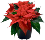 aktiv & irma Hude (Oldb) Prospekt mit  im Angebot für 1,99 €