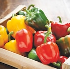 Promo Poivron tricolore à 1,29 € dans le catalogue Intermarché à Montbazon