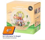 Action Düren - DIY-Miniatur in Kugel Angebot im Prospekt DIY-Miniatur in Kugel bei Action im Düren Prospekt für 4,69 €