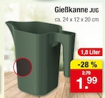 Gießkanne Jug für 1,99 € bei Zimmermann im Angebot Gießkanne Jug im aktuellen Zimmermann Prospekt