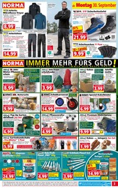 Aktueller Norma Prospekt mit Garten, "Mehr fürs Geld", Seite 3