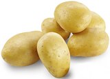 Aktuelle Kartoffeln Angebote bei METRO in Reutlingen Aktuelles Speisefrühkartoffeln Angebot bei METRO in Reutlingen ab 2,21 €
