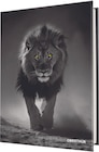 Agenda Lion - 1 jour par page - 12,5 x 17,5 cm - Oberthur - Oberthur - Bureau Vallée à Bordeaux Agenda Lion - 1 jour par page - 12,5 x 17,5 cm - Oberthur - Oberthur en promo chez Bureau Vallée Bordeaux à 7,99 €