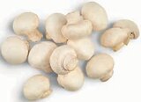 Weiße Champignons Angebote von Hofwerte bei nah&frisch Münster für 1,69 €