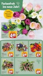 Garten im REWE Prospekt Garten im REWE Prospekt Dein Markt auf S. 8