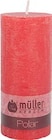 Stumpenkerze POLAR im Angebot bei Trends in Witten Stumpenkerze POLAR Angebote bei Trends Witten für 1,90 €