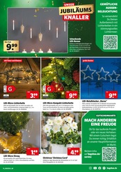 Aktueller Hagebaumarkt Prospekt mit Blumen, "UNSERE JUBILÄUMS KNALLER", Seite 23