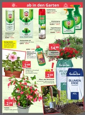 Blumenerde im Bauzentrum Reinholdshain Prospekt in Freital Aktueller Bauzentrum Reinholdshain Prospekt mit Blumenerde, "Regional. Kompetent. Zuverlässig.", Seite 2
