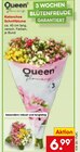 Kalanchoe Schnittblume im Angebot bei Netto Marken-Discount in Amberg Kalanchoe Schnittblume Angebote von Queen bei Netto Marken-Discount Amberg für 6,99 €