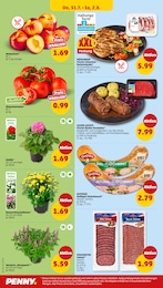 Nektarinen Angebot & Preis im aktuellen Penny Prospekt Nektarinen Angebot im aktuellen Penny Prospekt auf Seite 32