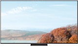QD-Mini LED TV 75MQLED75L im Angebot bei expert in Kronach QD-Mini LED TV 75MQLED75L Angebote von TCL bei expert Kronach für 699,00 €