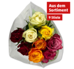 Fairtrade-Rosen im Angebot bei Penny in Kaufbeuren Fairtrade-Rosen Angebote bei Penny Kaufbeuren für 2,99 €