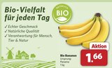combi Hinte - Bio Bananen Angebot im Prospekt Bio Bananen bei combi im Hinte Prospekt für 1,66 €