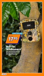 Action Wildkamera im Prospekt 