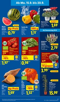 Gemüse im Lidl Prospekt "LIDL LOHNT SICH" mit 68 Seiten (Osnabrück)