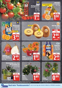 Wassermelone Angebot im aktuellen EDEKA Prospekt auf Seite 8