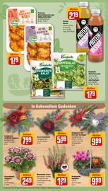 Blumen im REWE Prospekt in Velbert Aktueller REWE Prospekt mit Blumen, "Dein Markt", Seite 9