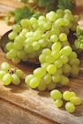 Raisin blanc dans le catalogue Intermarché