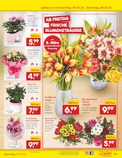 Aktueller Netto Marken-Discount Prospekt mit Tulpen, "Aktuelle Angebote", Seite 53