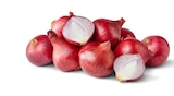 Rote Bio-Zwiebeln von Naturgut für 1,11 € bei Penny im Angebot Rote Bio-Zwiebeln von Naturgut im aktuellen Penny Prospekt