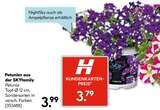 Petunien im Hellweg Prospekt Petunien im aktuellen Hellweg Prospekt für 3,79 €