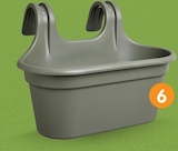 Jardinière à suspendre dans le catalogue B&M