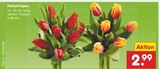 Herbsttulpen Angebote bei Netto Marken-Discount Weimar für 2,99 €