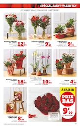 Offre Orchidée dans le catalogue Super U du moment à la page 19