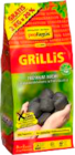 Buchen Grill-Holzkohle im Angebot bei E center in Elmshorn Buchen Grill-Holzkohle Angebote von proFagus bei E center Elmshorn für 14,99 €